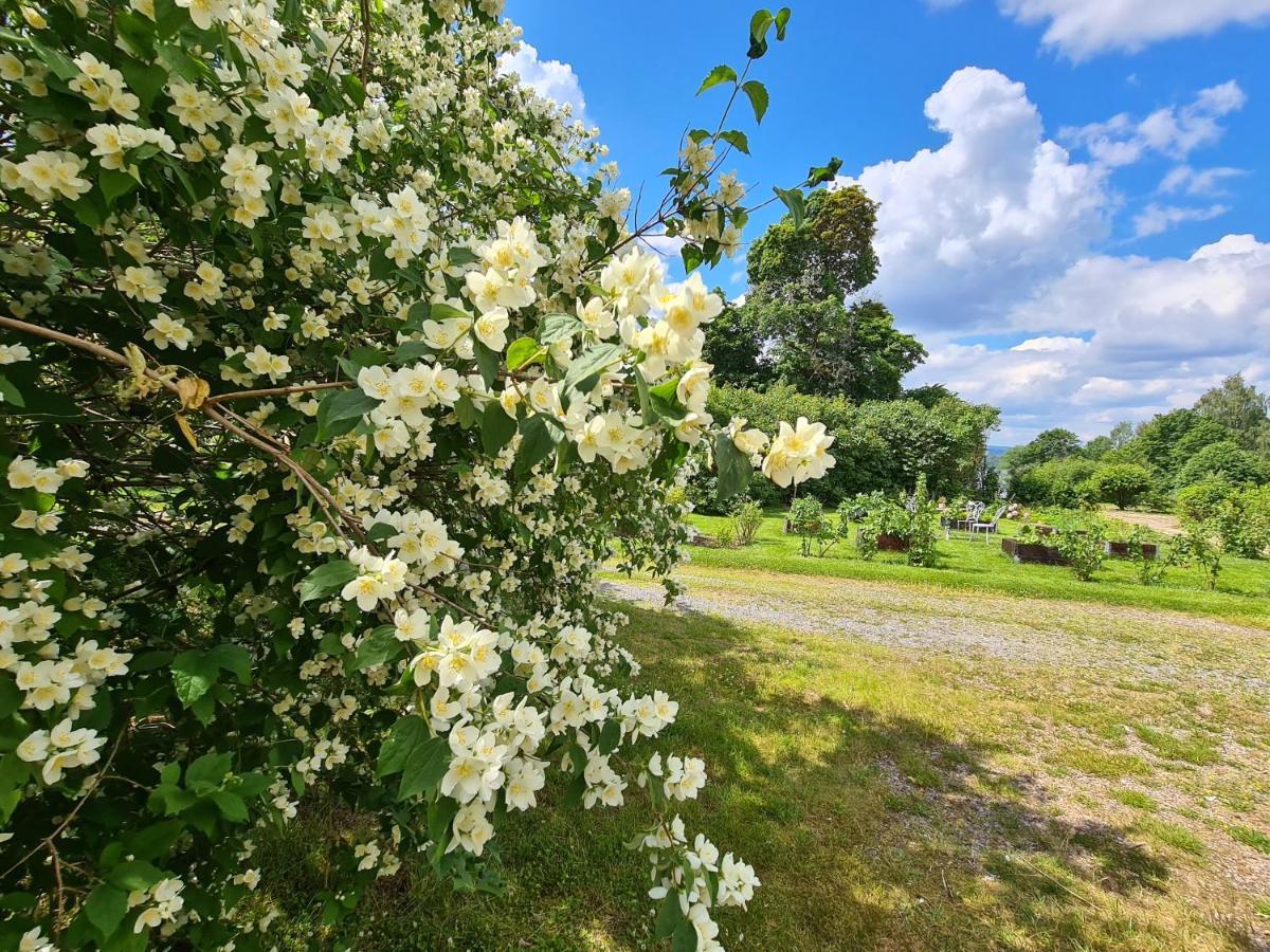 Risberg Herrgard Hagfors Exteriér fotografie